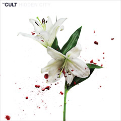 CD-Hidden-City