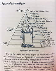 Portrait-Gastro-Les-Papilles-Du-Chimiste